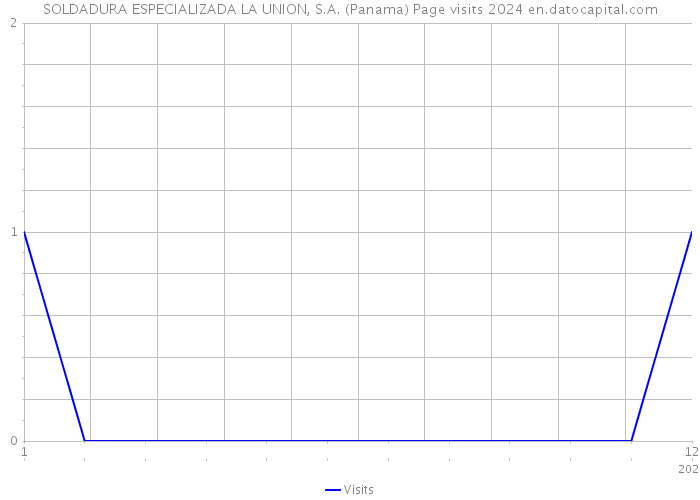 SOLDADURA ESPECIALIZADA LA UNION, S.A. (Panama) Page visits 2024 