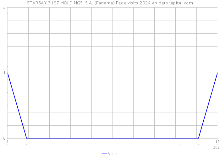 STARBAY 3197 HOLDINGS, S.A. (Panama) Page visits 2024 