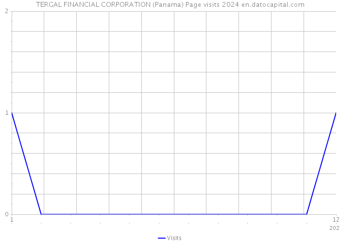 TERGAL FINANCIAL CORPORATION (Panama) Page visits 2024 