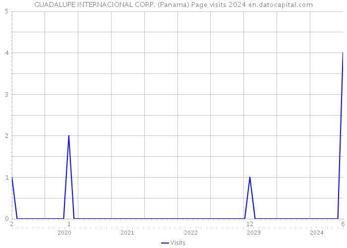 GUADALUPE INTERNACIONAL CORP. (Panama) Page visits 2024 