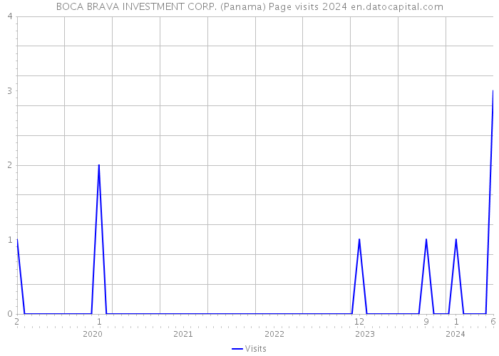 BOCA BRAVA INVESTMENT CORP. (Panama) Page visits 2024 