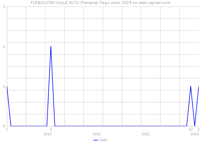 FUNDACION VALLE ALTO (Panama) Page visits 2024 