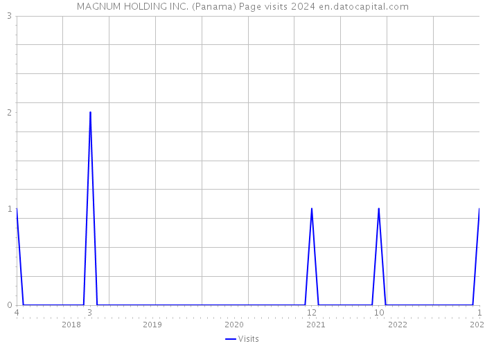 MAGNUM HOLDING INC. (Panama) Page visits 2024 