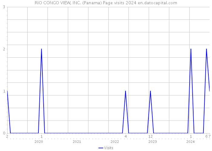 RIO CONGO VIEW, INC. (Panama) Page visits 2024 