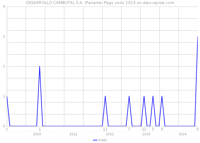 DESARROLLO CAMBUTAL S.A. (Panama) Page visits 2024 