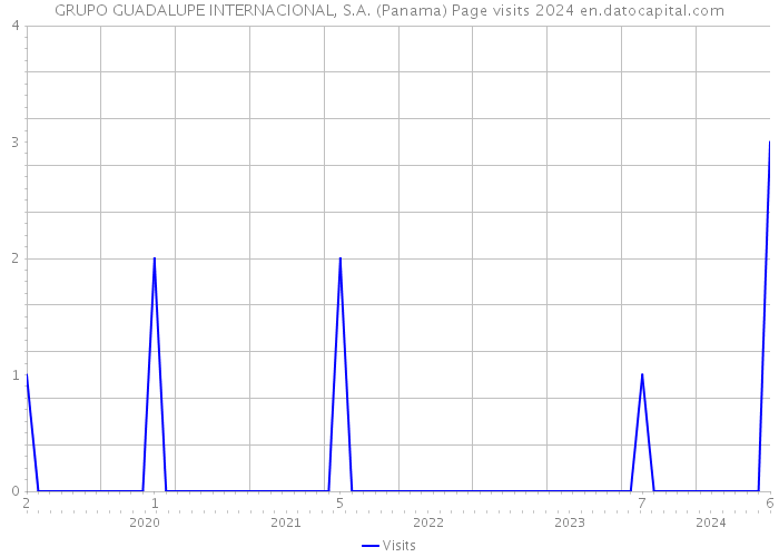 GRUPO GUADALUPE INTERNACIONAL, S.A. (Panama) Page visits 2024 