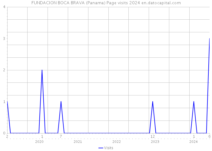 FUNDACION BOCA BRAVA (Panama) Page visits 2024 