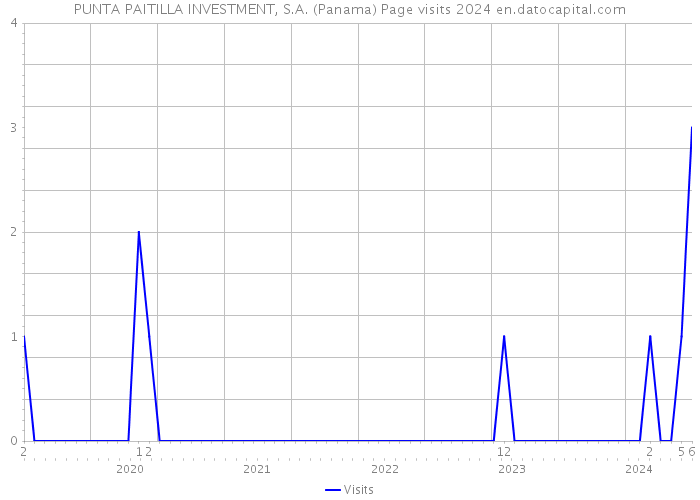 PUNTA PAITILLA INVESTMENT, S.A. (Panama) Page visits 2024 