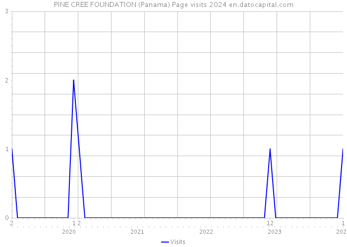 PINE CREE FOUNDATION (Panama) Page visits 2024 