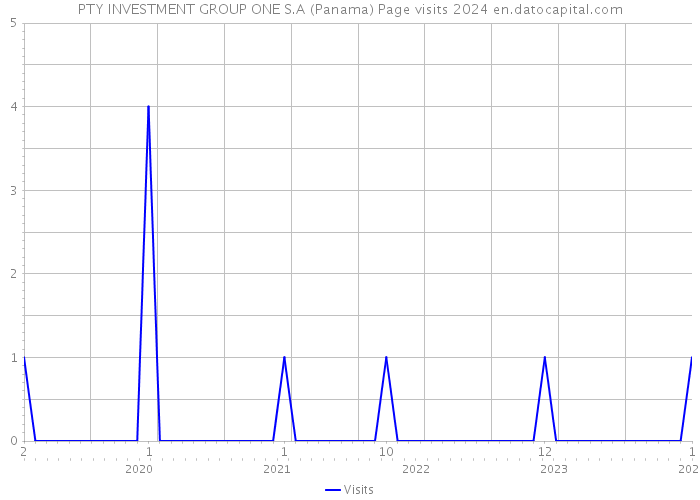 PTY INVESTMENT GROUP ONE S.A (Panama) Page visits 2024 