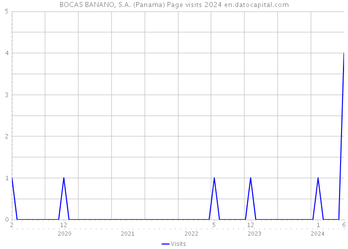 BOCAS BANANO, S.A. (Panama) Page visits 2024 