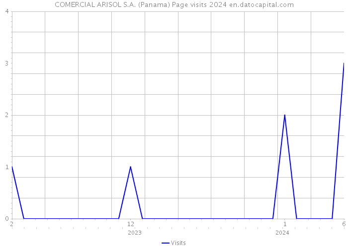 COMERCIAL ARISOL S.A. (Panama) Page visits 2024 