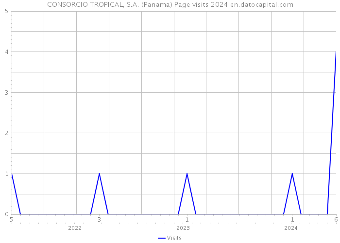 CONSORCIO TROPICAL, S.A. (Panama) Page visits 2024 