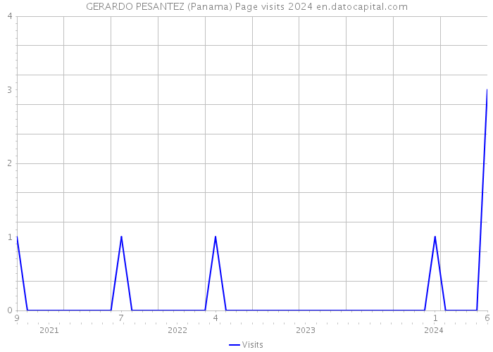 GERARDO PESANTEZ (Panama) Page visits 2024 