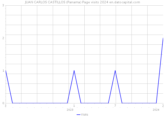 JUAN CARLOS CASTILLOS (Panama) Page visits 2024 