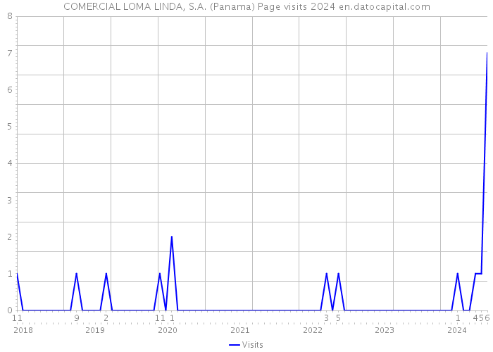 COMERCIAL LOMA LINDA, S.A. (Panama) Page visits 2024 