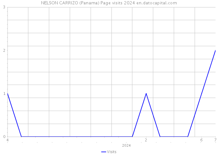 NELSON CARRIZO (Panama) Page visits 2024 