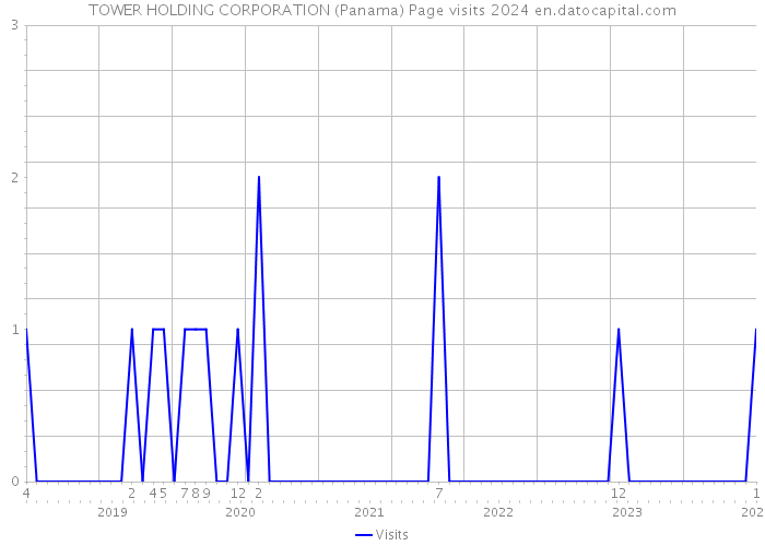 TOWER HOLDING CORPORATION (Panama) Page visits 2024 