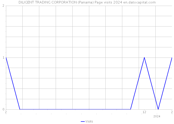 DILIGENT TRADING CORPORATION (Panama) Page visits 2024 