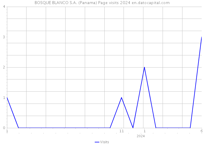 BOSQUE BLANCO S.A. (Panama) Page visits 2024 