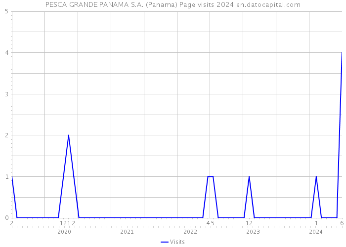 PESCA GRANDE PANAMA S.A. (Panama) Page visits 2024 