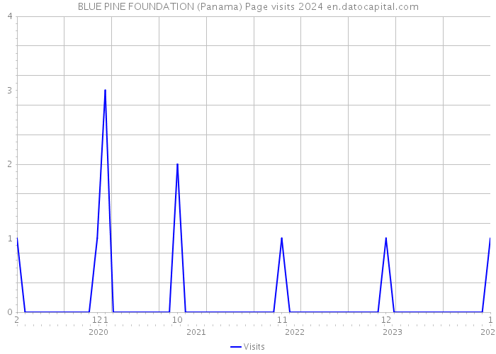 BLUE PINE FOUNDATION (Panama) Page visits 2024 