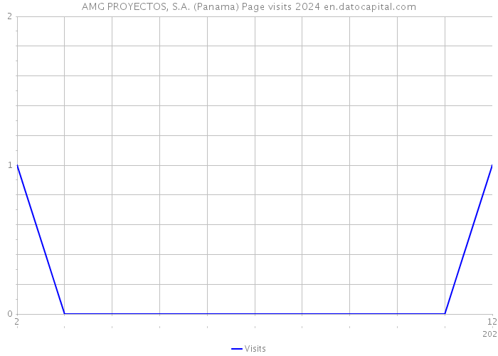 AMG PROYECTOS, S.A. (Panama) Page visits 2024 