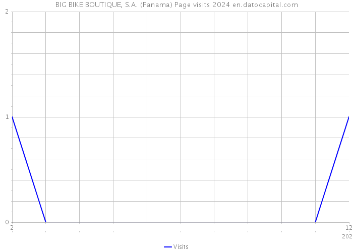 BIG BIKE BOUTIQUE, S.A. (Panama) Page visits 2024 