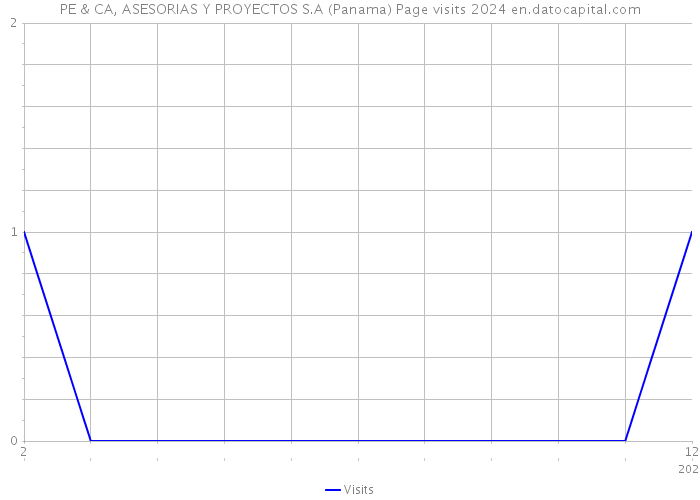 PE & CA, ASESORIAS Y PROYECTOS S.A (Panama) Page visits 2024 