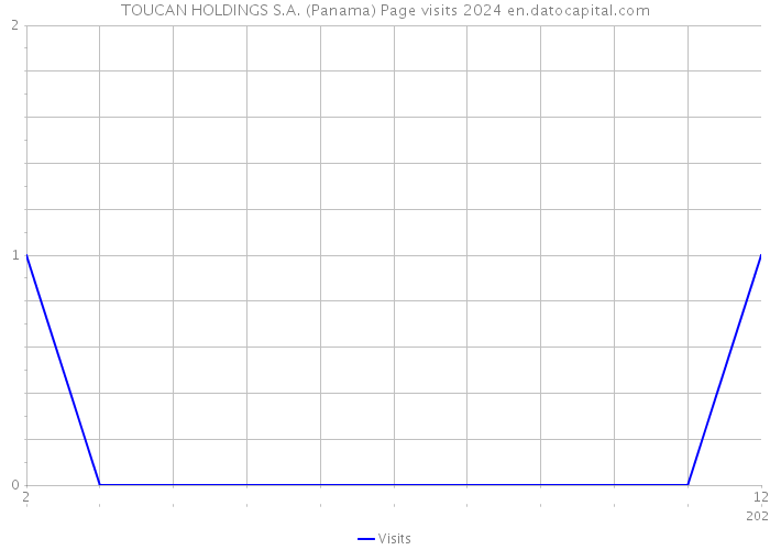 TOUCAN HOLDINGS S.A. (Panama) Page visits 2024 