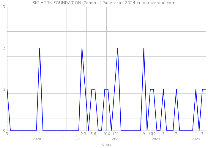 BIG HORN FOUNDATION (Panama) Page visits 2024 