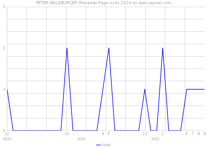 PETER WALDBURGER (Panama) Page visits 2024 