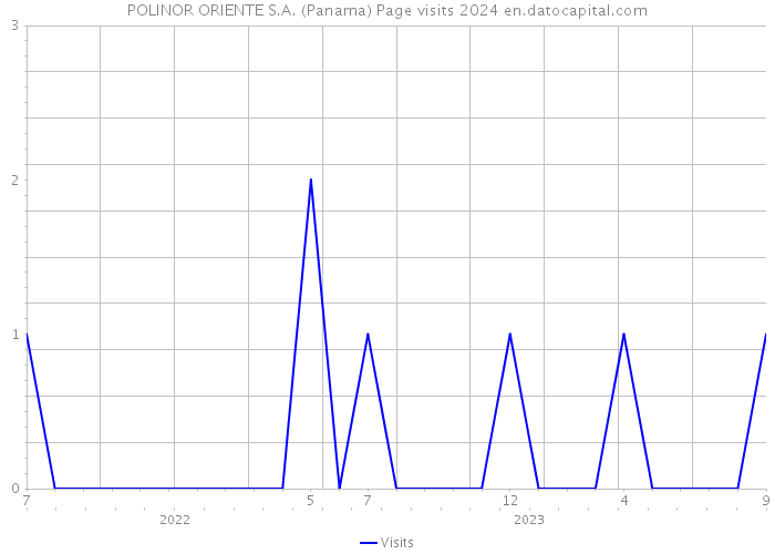 POLINOR ORIENTE S.A. (Panama) Page visits 2024 