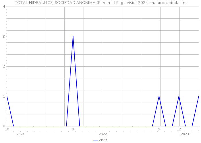TOTAL HIDRAULICS, SOCIEDAD ANONIMA (Panama) Page visits 2024 