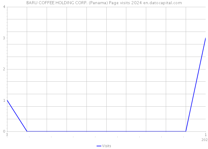 BARU COFFEE HOLDING CORP. (Panama) Page visits 2024 