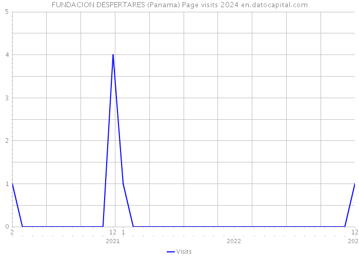 FUNDACION DESPERTARES (Panama) Page visits 2024 