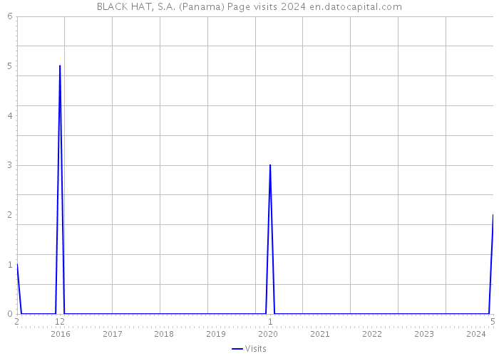 BLACK HAT, S.A. (Panama) Page visits 2024 