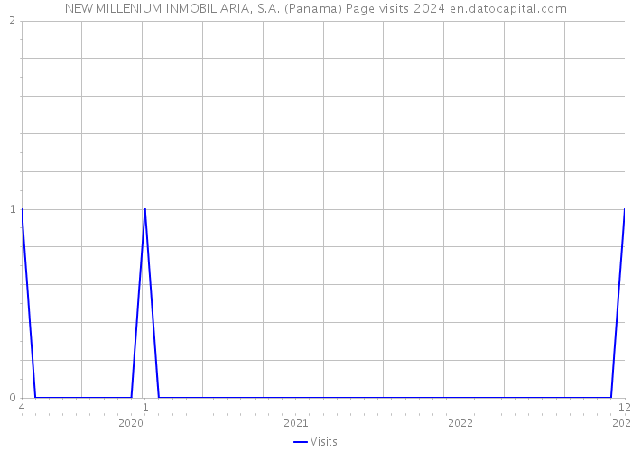 NEW MILLENIUM INMOBILIARIA, S.A. (Panama) Page visits 2024 
