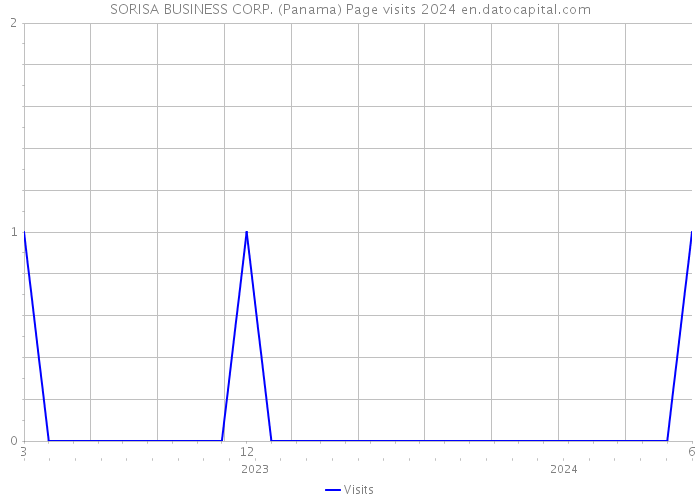 SORISA BUSINESS CORP. (Panama) Page visits 2024 