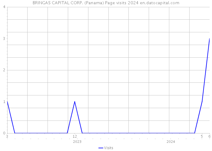 BRINGAS CAPITAL CORP. (Panama) Page visits 2024 