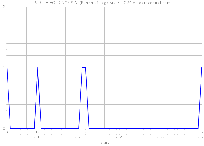 PURPLE HOLDINGS S.A. (Panama) Page visits 2024 