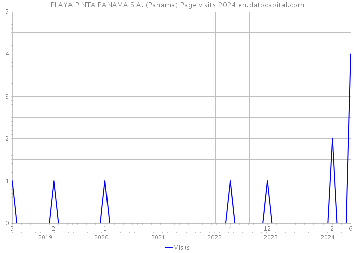 PLAYA PINTA PANAMA S.A. (Panama) Page visits 2024 