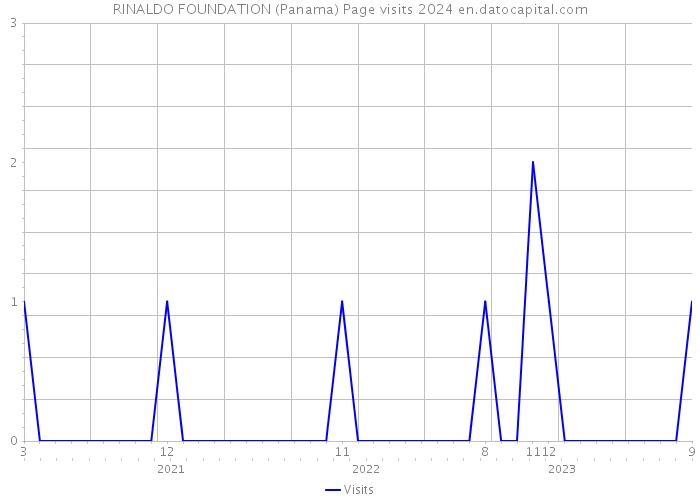 RINALDO FOUNDATION (Panama) Page visits 2024 