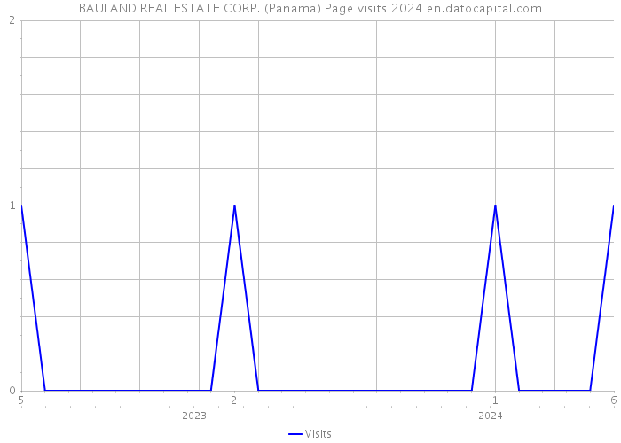BAULAND REAL ESTATE CORP. (Panama) Page visits 2024 