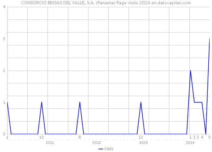 CONSORCIO BRISAS DEL VALLE, S.A. (Panama) Page visits 2024 
