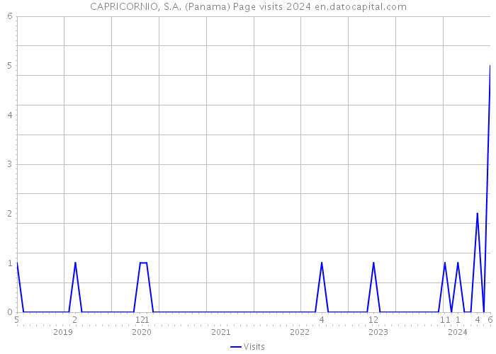 CAPRICORNIO, S.A. (Panama) Page visits 2024 