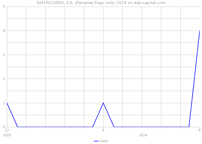 SAN RICARDO, S.A. (Panama) Page visits 2024 