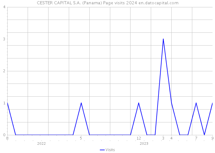 CESTER CAPITAL S.A. (Panama) Page visits 2024 