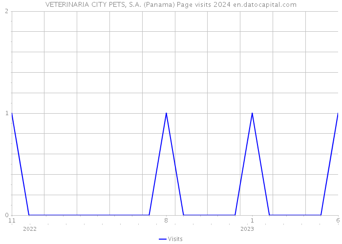 VETERINARIA CITY PETS, S.A. (Panama) Page visits 2024 