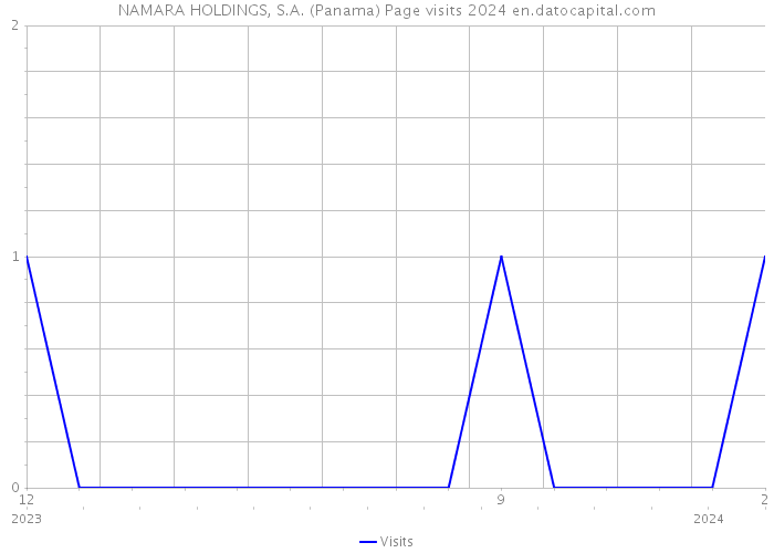 NAMARA HOLDINGS, S.A. (Panama) Page visits 2024 